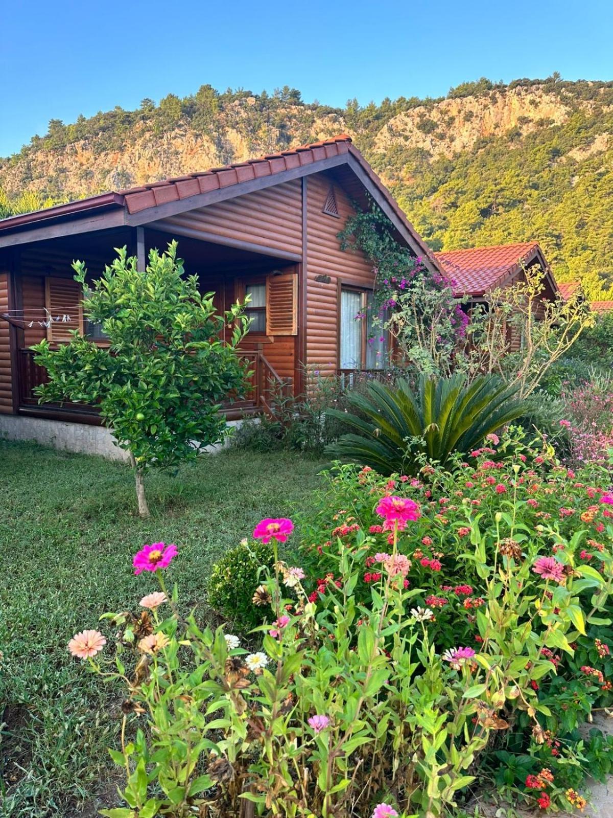 Leontopolis Apart Otel Çıralı Exteriér fotografie